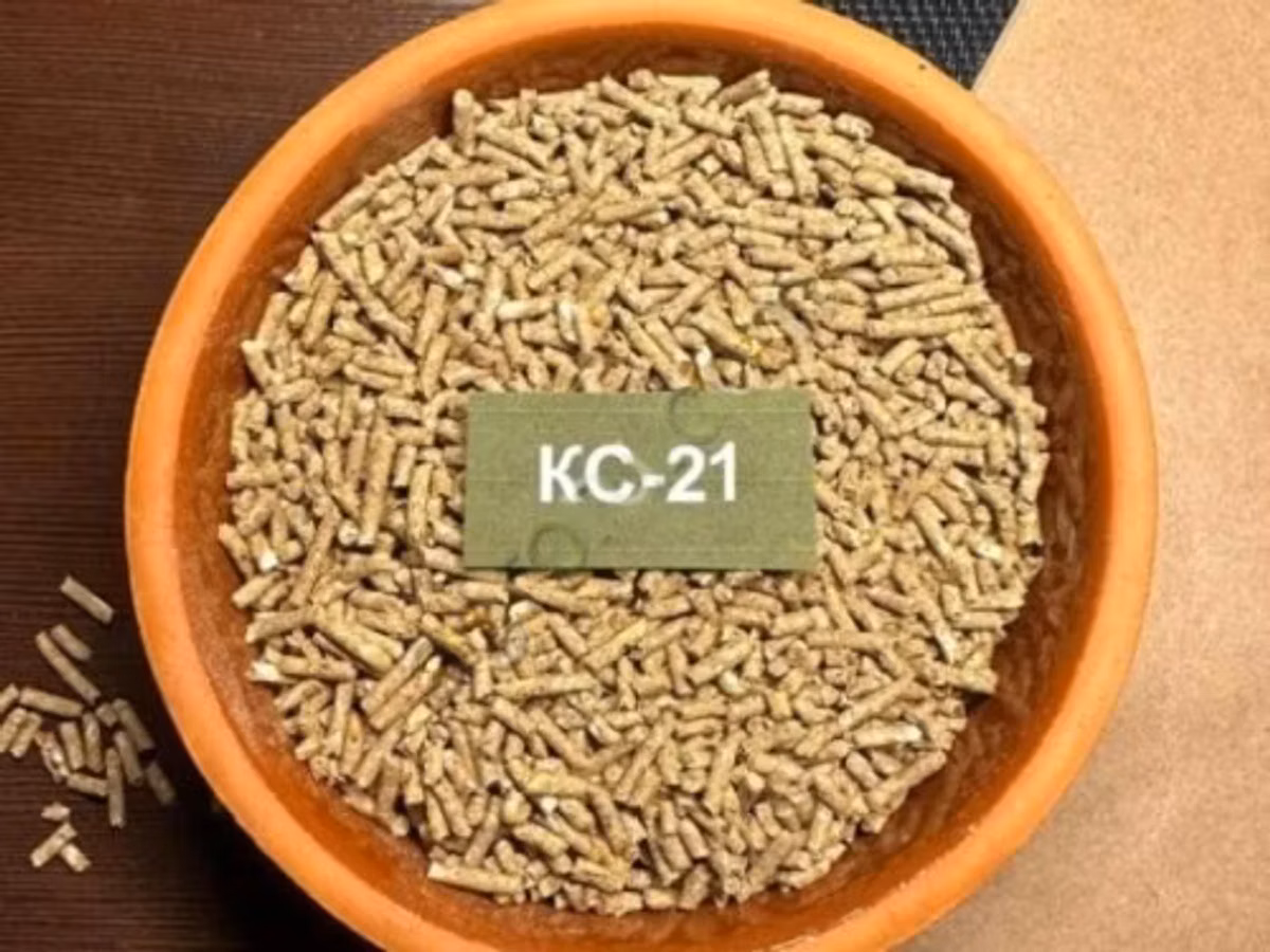 КС-21 Старт-Рост