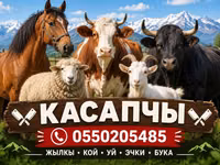 Услуги мясника/касатчы для забоя и разделки скота на выезде. Работаем — फ़ोटो 2