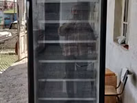 Ինկուբատոր թռչունների ձվերի ինկուբացիայի համար — foto 2