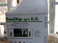 Duodip 55% Ec 5litres — Foto 1