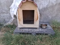 Taxta it evi - Material: kontrplak/taxta gövdə, üstü dalğalı metal — 照片 1