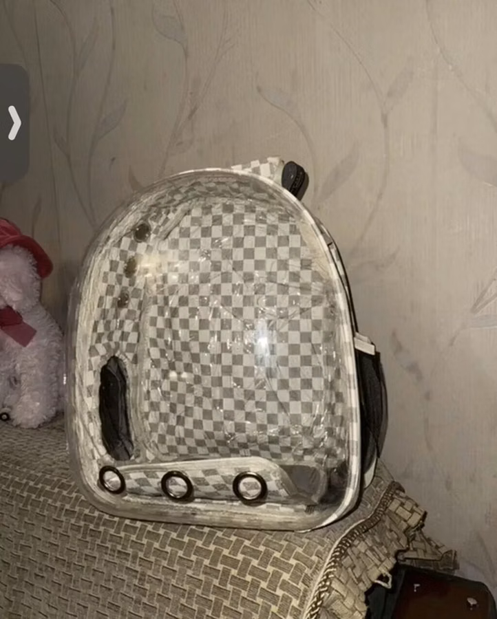 Pişiy daşıma vəya it daşıma çantası 35 azna alınıb orjinal pro plan