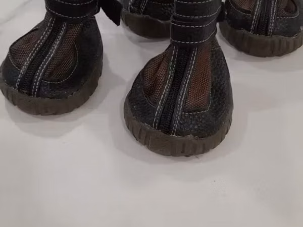 Ճթքավոր կոշիկներ