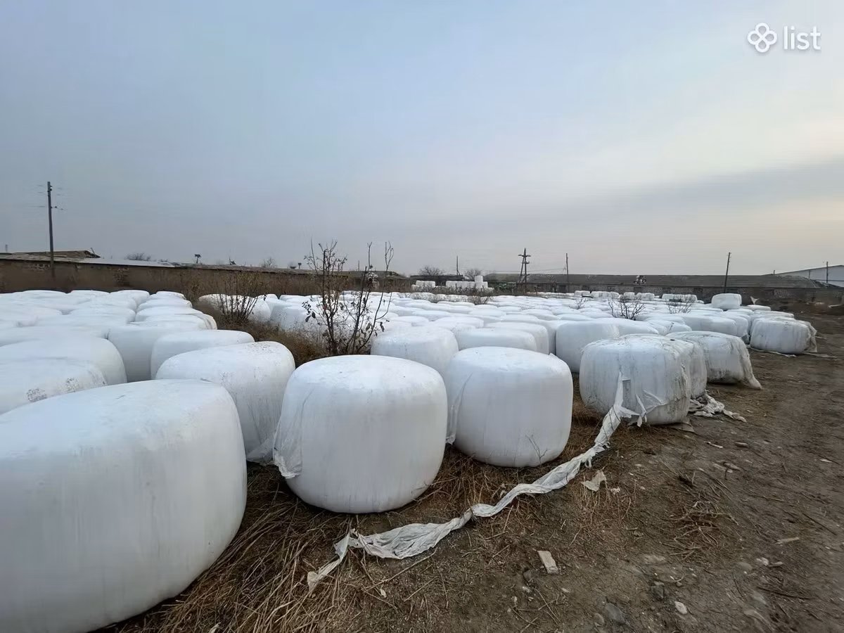 Սիլոս կուկուռուզի, Գարու սալոմ