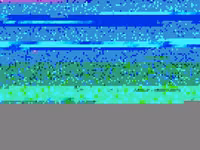 Тооктор — сүрөт 1