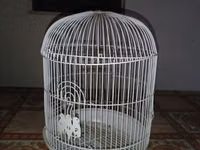 Ağ rəngli dairəvi quş qəfəsi - Material: metal telli korpus, plastik — foto 3