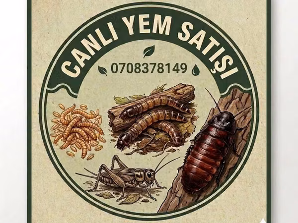 Canlı yem satışı – sürünənlər, amfibiyalar, quşlar və akvarium