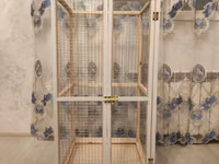 Papuqay,dovşan,hamster,şinşila,bildirçin,cücə,xamyak,pişik,quş,tısbağa — Foto 1