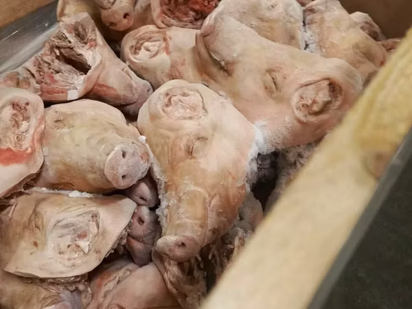 Головы свиные замороженные