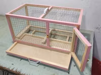 Dovşan,hamster,şinşila,bildirçin,cücə,xamyak,pişik,quş,tısbağa ve s — Foto 2