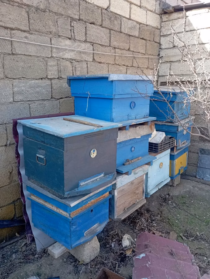 Arıçılıq üçün taxta pətəklər və üst korpuslar - Material: qalın