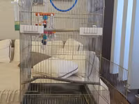Böyük ölçülü quş qəfəsi - Material: metal korpus, oval/tağ formalı — foto 4