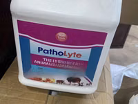 Patholyte Disinfectant — Foto 2