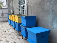 Arıçılıq üçün taxta arı pətəkləri - Model: çoxkorpuslu taxta pətək - — foto 2