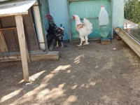 براهما — الصورة 4