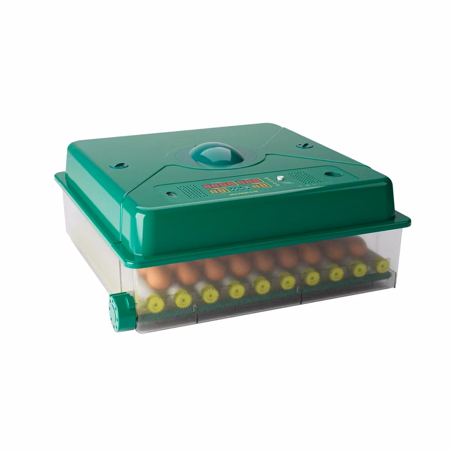 Incubator De Oua Des Champs Eco Profi C-70 - xh - livrare/achitare in 4rate/agrotop