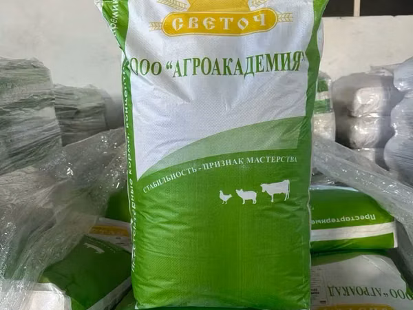 Կոնցենտրատ 10%, հղի խոզամայրի կեր