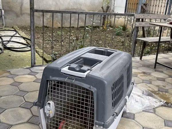 Heyvan daşıma konteyneri (pet carrier) - Material: möhkəm plastik