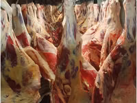 Говядина (четверти) — புகைப்படம் 1