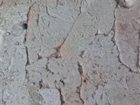 Жир внутренний сырец 1-я группа — Foto 3