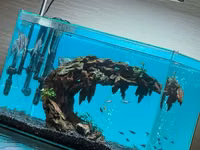 Ակվարիում, (аквариум) : Ձկներով և իր բոլոր սարքավորումներով — foto 1