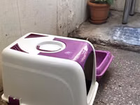 Pişik üçün iki hissəli tualet dəsti - Rəng: bənövşəyi-ağ - Komplekt — Foto 2
