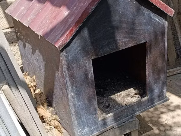 Taxta it evi - Material: qalın taxta/kombinə edilmiş faner korpus