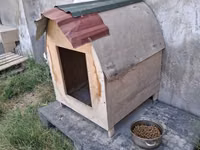 Taxta it evi - Material: kontrplak/taxta gövdə, üstü dalğalı metal — 照片 2