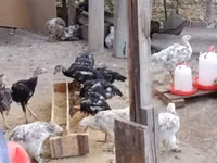 பிரஹ்மா — புகைப்படம் 2