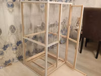 Papuqay,dovşan,hamster,şinşila,bildirçin,cücə,xamyak,pişik,quş,tısbağa — Foto 3