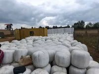 Full Corn Silage — फ़ोटो 2