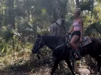 Égua, Morgan — foto 8