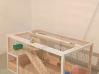 Hamster/kiçik gəmirici üçün geniş taxta — 写真 2