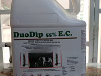 Duodip 55% Ec 5litres — Foto 3