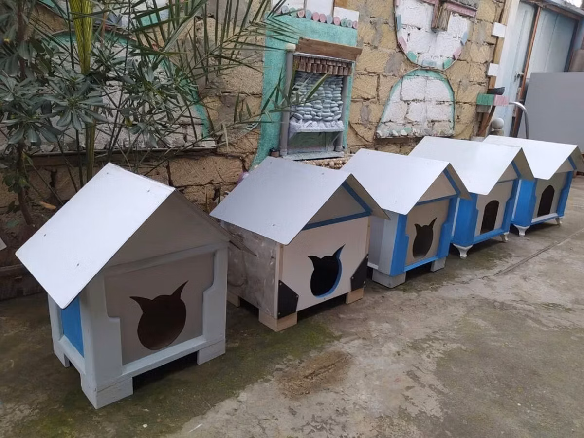 Salam yuvalar pişik ve balaca itlər üçün təzədi balacadan böyüyə