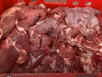 Легкое говяжье (субпродукты) — 写真 3