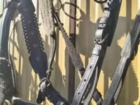 Páros nagy ló hámok cserélhetőek.. — फ़ोटो 5