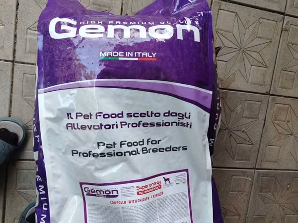 🐶 GEMON SUPER ENERGY – ALL BREEDS ADULT | TOYUQLU İt yemləri arasında