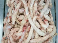 Купим говяжьи субпродукты! — புகைப்படம் 5