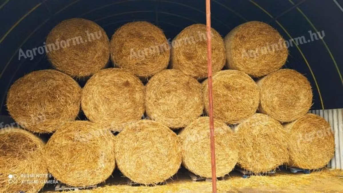 Cumpăr fin