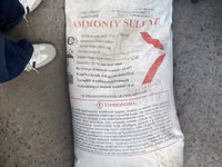 Mineral o’g’itlar kaliy sulfat Ammony — 5-rasm
