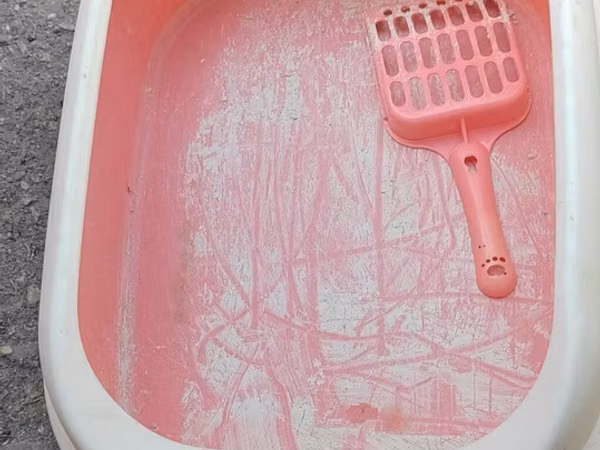 Məhsul: Pişik tualeti qabı və kürəciyi - Material: davamlı plastik -