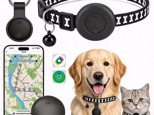 🐾 HEYVANLAR ÜÇÜN MINI GPS NAVİQATOR 🐕 Hər növ it cinsləri 🐈 Bütün