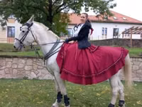 பெண் குதிரை, Lipizzaner — புகைப்படம் 6