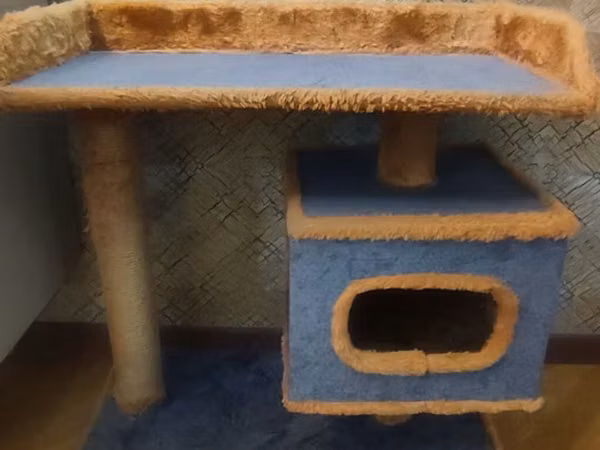 Pişik evi satılır 40 manat. 120 manata alínmışdı