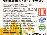 Семена кукурузы. Жугери тукымы. — zdjęcie 4