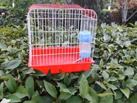 Qırmızı-ağ quş qəfəsi - Material: metal barmaqlıqlar və plastik — 照片 2