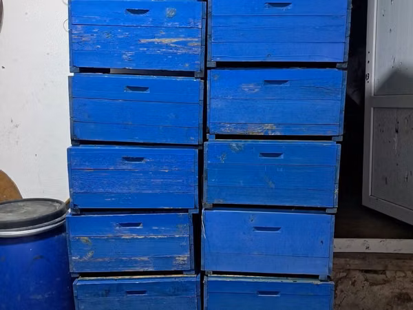 1 ededi 35 azndir real alıcılar narahat etsin Arıçılıq üçün taxta