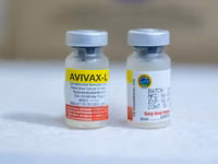 Newcastle Disease Vaccine for Chickens — Foto 2