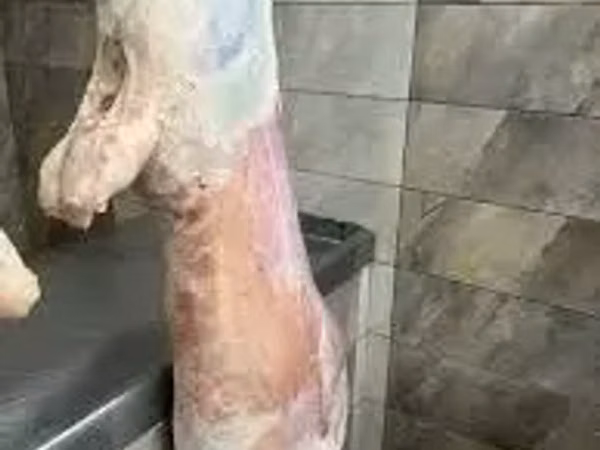 Գառի թարմ միս կիլոգրամով
